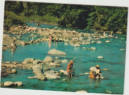 Saint Barthélémy , Lavandières ,  Washerwomen  , Guadeloupe - Saint Barthelemy