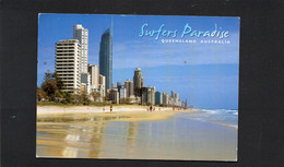 MEN - Australia - Queensland - Paradiso Dei Surfisti - Other & Unclassified