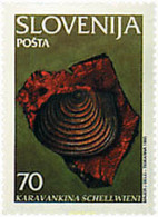 86802 MNH ESLOVENIA 1995 CONCHAS FOSILES - Fossiles