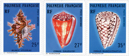 43558 MNH POLINESIA FRANCESA 1977 CONCHAS - Gebruikt