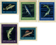 61568 MNH POLONIA 1958 PECES - Non Classés