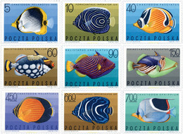 61626 MNH POLONIA 1967 PECES EXOTICOS - Ohne Zuordnung