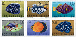 230548 MNH POLONIA 1967 PECES EXOTICOS - Non Classés