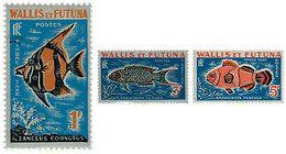 36766 MNH WALLIS Y FUTUNA 1963 PECES - Usati