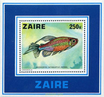 34294 MNH ZAIRE 1978 PECES - 1971-1979