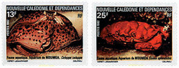 44489 MNH NUEVA CALEDONIA 1982 ACUARIO DE NOUMEA - Gebraucht