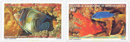 44535 MNH NUEVA CALEDONIA 1988 AQUARIUM DE NOUMEA - Gebraucht