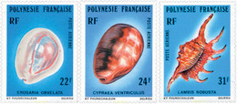 46408 MNH POLINESIA FRANCESA 1978 CONCHAS - Usados