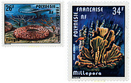 43577 MNH POLINESIA FRANCESA 1978 CORALES - Gebruikt