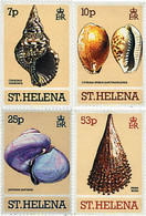 52864 MNH SANTA ELENA 1981 CONCHAS - Sainte-Hélène