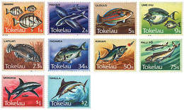 45600 MNH TOKELAU 1984 PECES - Tokelau