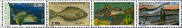 162051 MNH SAN PEDRO Y MIQUELON 1993 PECES - Gebruikt