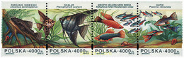 156196 MNH POLONIA 1994 PECES ORNAMENTALES - Sin Clasificación