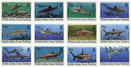 72861 MNH OCEANO INDICO BRITANICO 1994 FAUNA MARINA. TIBURONES - Territorio Británico Del Océano Índico