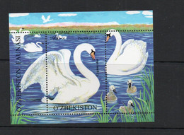 BIRDS - UZBEIKSTAN - 2010 - SWAN SOUVENIR SHEET  MINT NEVER HINGED, SG CAT £23 - Cygnes