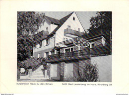 Bad Lauterberg / "Haus Zu Den Birken" / Pension (D-A372) - Bad Lauterberg