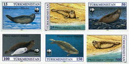 233045 MNH TURKMENISTAN 1993 FOCA DEL CASPIO - Turkmenistan