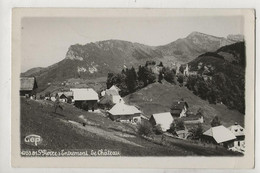 Saint-Pierre-d'Entremont (38) : Vue Générale Du Quartier Du Château En 1950 PF - Saint-Pierre-d'Entremont