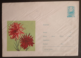 Errors Envelope Romania 1973 Envelopes FLOWER Plants Printed With Misplaced Image - Lettres & Documents