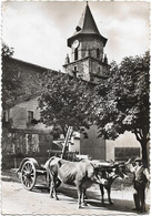 64  Ainhoa  -  Un Attelage Basque Devant L'eglise - Ainhoa