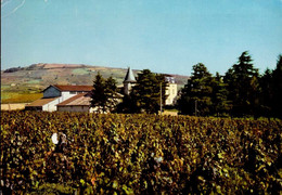 JULIENAS EN BEAUJOLAIS ( RHONE ) LA COOPERATIVE ET LE CHATEAU DU BOIS DE LA SALLE. VUE  D'ENSEMBLE SUR LES VIGNOBLES - Julienas