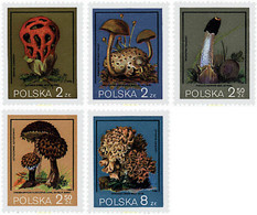 209854 MNH POLONIA 1980 SETAS - Non Classés