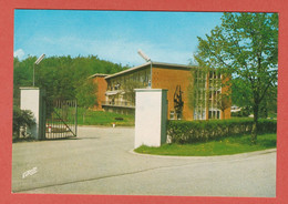 CP 57 SARREBOURG 8505 Centre De Phtisiologie - Rue De Verdun - Sarrebourg