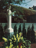 BEAURAING - La Vierge Sous L'Aubépine - Beauraing