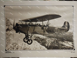 Foto Riproduzione Aviazione AERITALIA  Officine Ferroviarie Meridionali Ro1 1926 - Luchtvaart