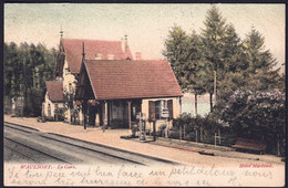 +++ CPA - WAULSORT - La Gare - Couleur - 1906  // - Hastière