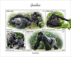 2022-08 - SIERRA LEONE - GORILLAS              4V    MNH** - Gorilas