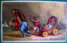CHROMO XIX ° OURS HUMANISE . OURSON .CHAT  Landau , .AUMONT à VERNON  .DRESSED BEAR Cat OLD ADVERTISING CARD - Tiere