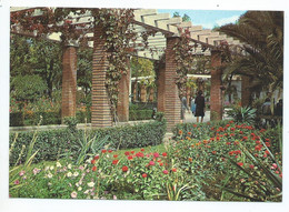 JARDINES DE SAN GREGORIO.- PUERTOLLANO - CIUDAD REAL.- ( ESPAÑA ) - Ciudad Real