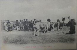 C. P. A. : 81 : ANGLES DU TARN : Le Batut, Scène De Foire, Vaches,en 1915 - Angles