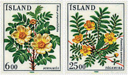 90870 MNH ISLANDIA 1984 FLORA DE ISLANDIA - Lots & Serien
