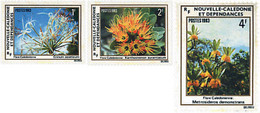 94954 MNH NUEVA CALEDONIA 1983 FLORA DE NUEVA CALEDONIA - Used Stamps