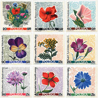 94361 MNH POLONIA 1967 FLORES SILVESTRES - Ohne Zuordnung