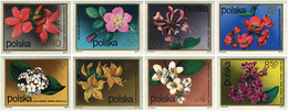 94364 MNH POLONIA 1972 FLORES - Sin Clasificación