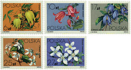 232158 MNH POLONIA 1984 CLEMATIDES - Unclassified