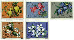 232158 MNH POLONIA 1984 CLEMATIDES - Ohne Zuordnung