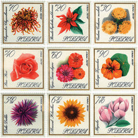 96804 MNH POLONIA 1966 FLORES DE JARDIN - Ohne Zuordnung