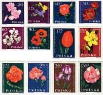 94357 MNH POLONIA 1964 FLORES DE JARDIN - Ohne Zuordnung