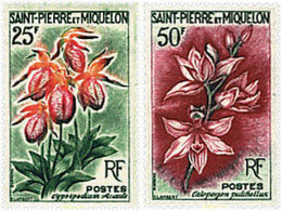 242541 HINGED SAN PEDRO Y MIQUELON 1962 FLORES - Usati