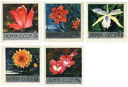 92534 MNH UNION SOVIETICA 1969 FLORES - Collezioni