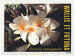 92972 MNH WALLIS Y FUTUNA 1984 FLORES DE WALLIS Y FUTUNA - Gebraucht