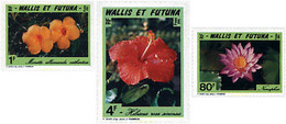 92982 MNH WALLIS Y FUTUNA 1991 FLORES DE WALLIS Y FUTUNA - Usati