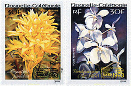 94962 MNH NUEVA CALEDONIA 1993 BANGKOK 93. EXPOSICION FILATELICA INTERNACIONAL - Usados