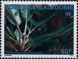 94965 MNH NUEVA CALEDONIA 1995 FLORA DE NUEVA CALEDONIA - Usados