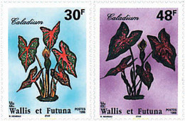 92990 MNH WALLIS Y FUTUNA 1996 FLORES LOCALES - Oblitérés