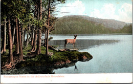 New York Picturesque Scene In The Adirondack Mountains - Adirondack